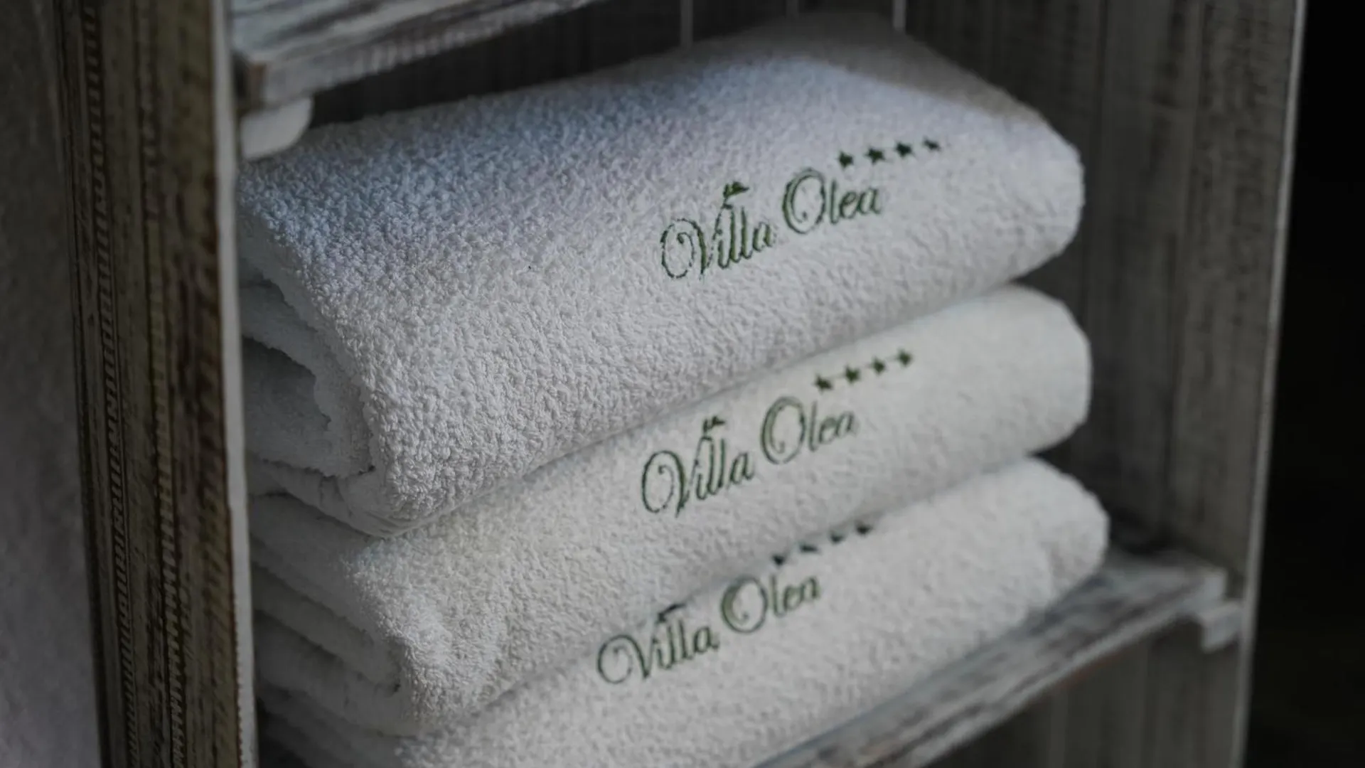 Hotel Villa Olea