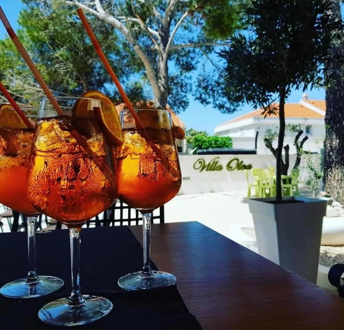 Villa Olea Simuni Croatia